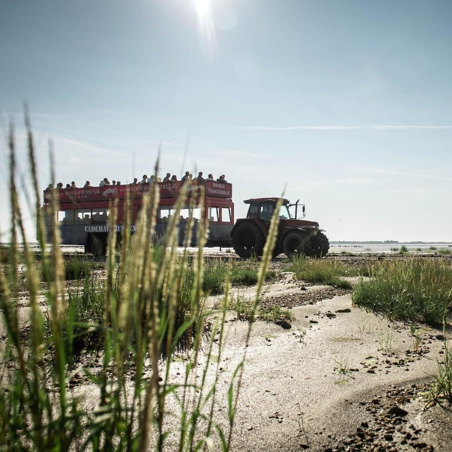 Lustrup Farmhouse Ribe Esterno foto